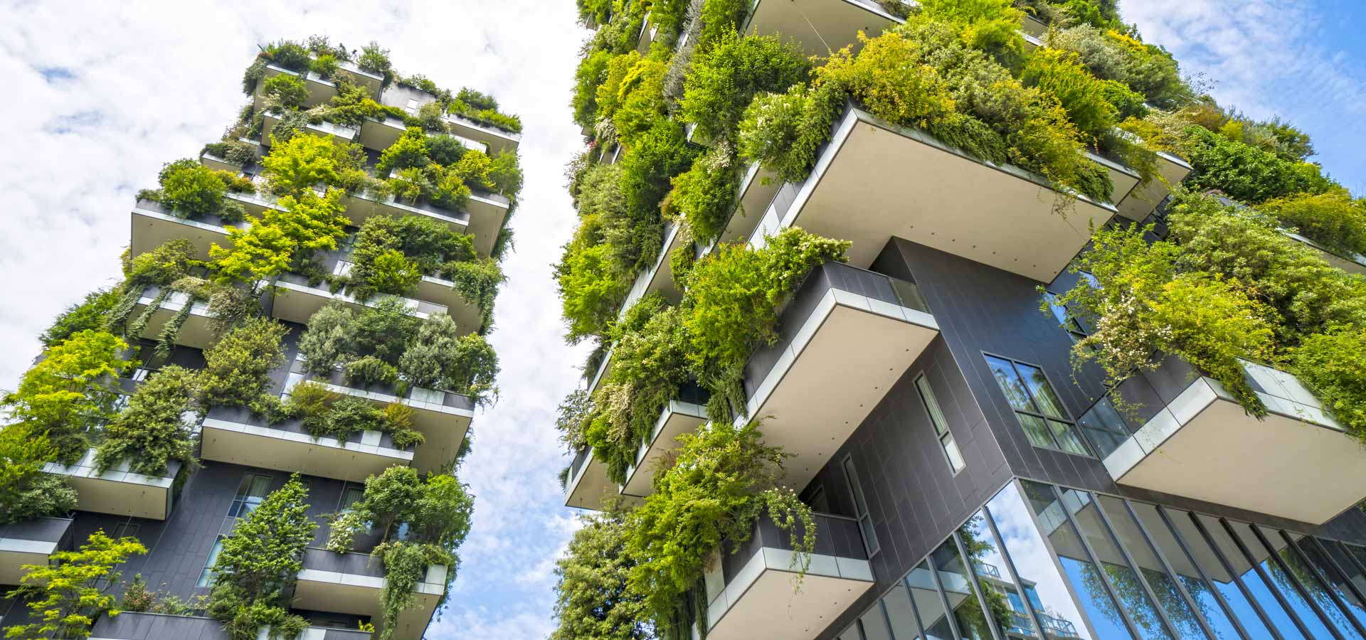 Il Bosco Verticale di Milano BertiniFinance